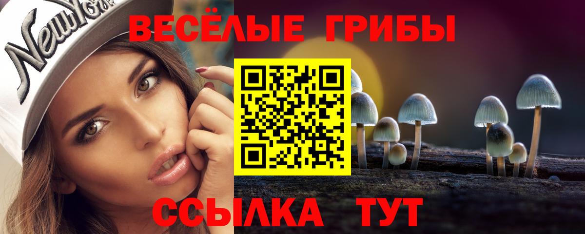 магазин продажи   Псилоцибиновые грибы Cubensis  Вход с VPN  Омск  Галлюциногенные грибы Psilocybine cubensis 
